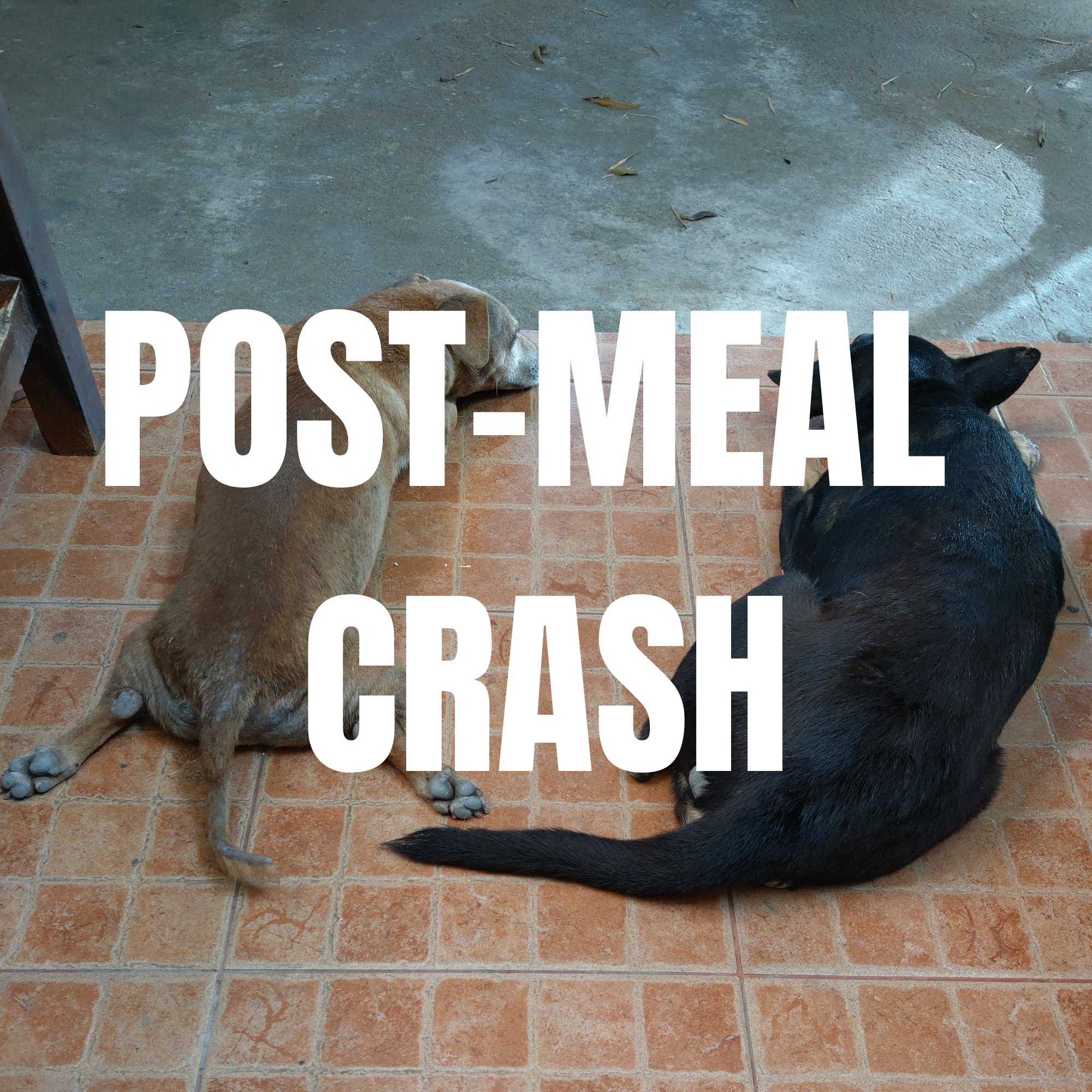PostMeal